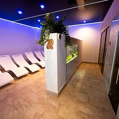 Hotel Dszsu